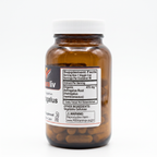 Astragalus