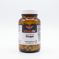 Ginger